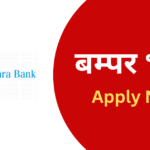 Canara Bank Apprentice Recruitment 2025