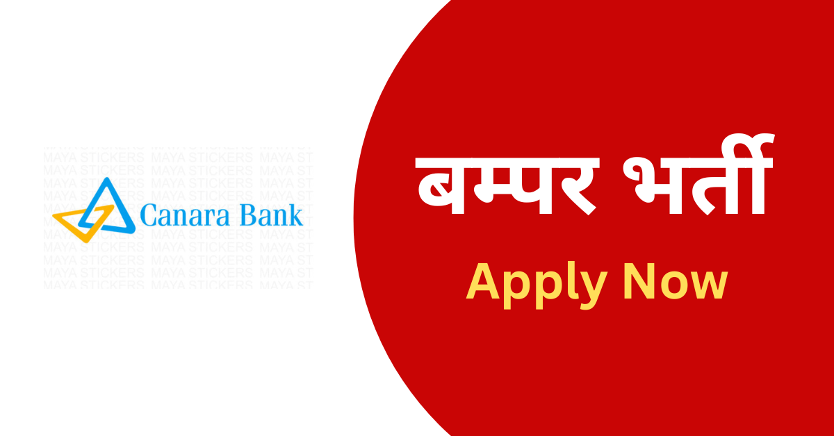 Canara Bank Apprentice Recruitment 2025