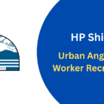 HP Shimla Urban Anganwadi Worker Recruitment 2025